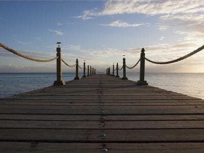 App By MIT Engineers Can Tell If A Bridge.