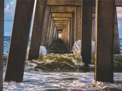 An Unexpected visitors at vinicius presser