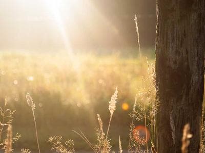 Apple MIT Engineers Can Tell If A Bridge Is On The Verge