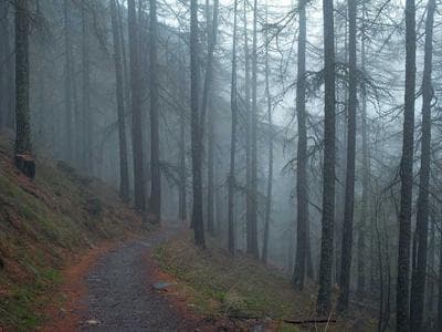 App By MIT Engineers Can Tell If A Bridge.