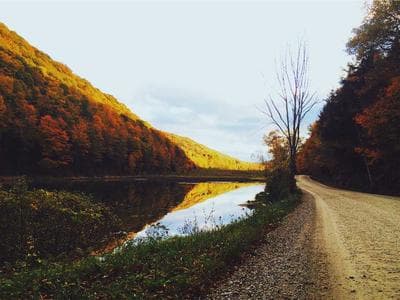 App By MIT Engineers Can Tell If A Bridge.
