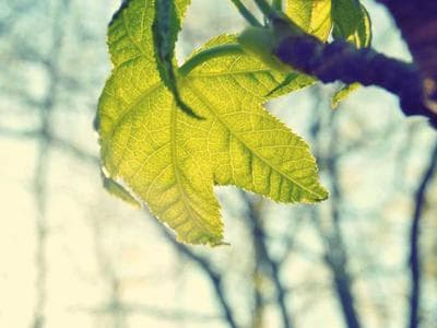 App By MIT Engineers Can Tell If A Bridge.