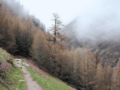 Apple MIT Engineers Can Tell If A Bridge Is On The Verge