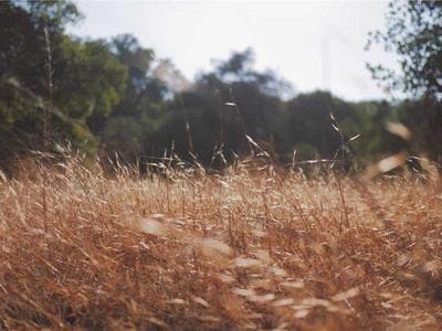 Apple MIT Engineers Can Tell If A Bridge Is On The Verge