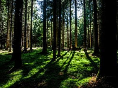 Apple MIT Engineers Can Tell If A Bridge Is On The Verge